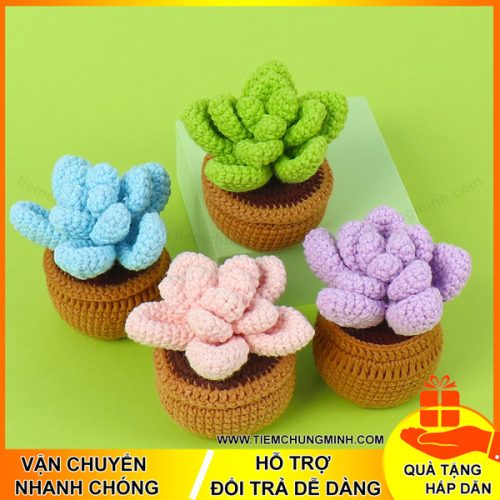 chau cay xuong rong moc len handmade