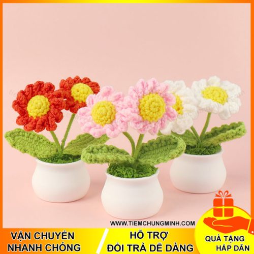 chau hoa cuc 2 bong moc len handmade