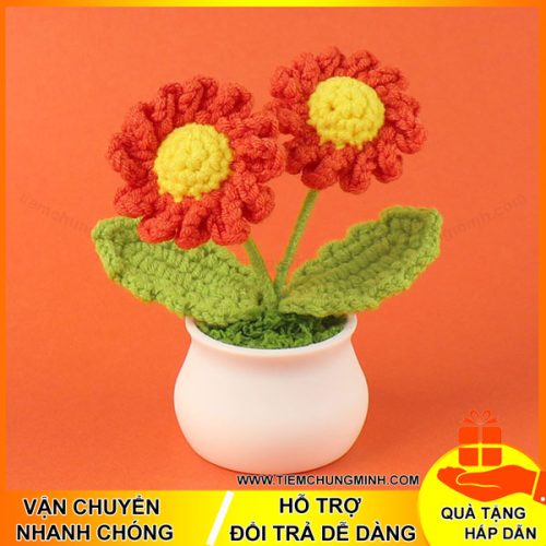 chau hoa cuc mau cam 2 bong moc len handmade