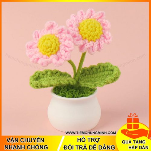 chau hoa cuc mau hong 2 bong moc len handmade