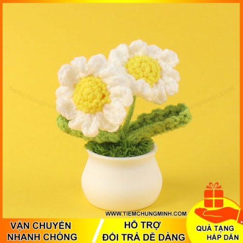 chau hoa cuc mau trang 2 bong moc len handmade