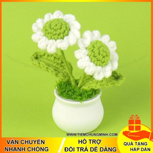 chau hoa cuc mau xanh non 2 bong moc len handmade