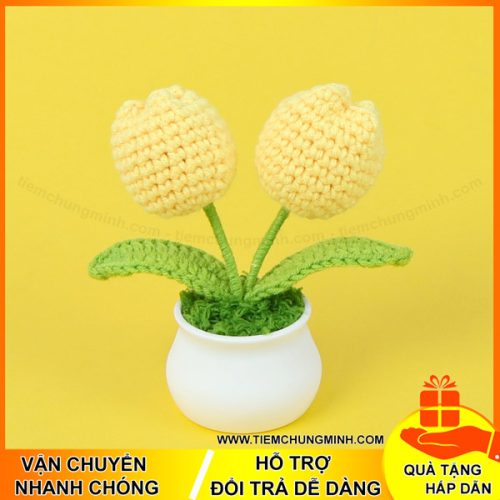 chau hoa tulip mau vang 2 bong moc len