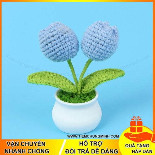 chau hoa tulip mau xanh 2 bong moc len