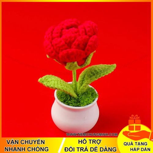 chau cay hoa hong do moc len handmade