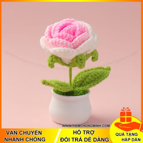 chau cay hoa hong phai moc len handmade