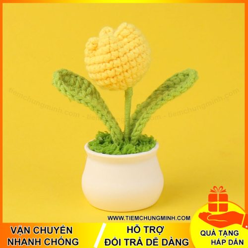 chau hoa tulip mau vang moc len de ban trang tri 02