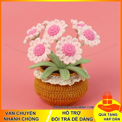 chau cay hoa cuc 7 bong mau hong moc len handmade