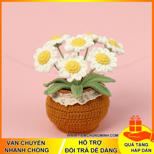 chau cay hoa cuc 7 bong mau trang moc len handmade