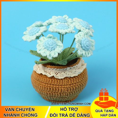 chau cay hoa cuc 7 bong mau xanh duong moc len handmade