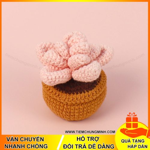 chau cay xuong rong mau hong moc len handmade