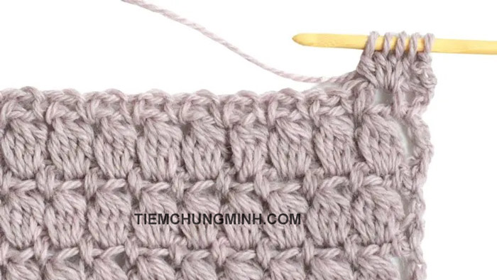 Mũi Cụm (Cluster Stitch Crochet)